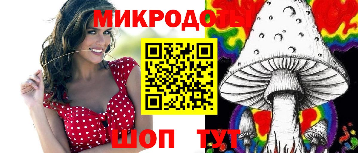 Галлюциногенные грибы Psilocybine cubensis  Вход с VPN  Псилоцибиновые грибы GOLDEN TEACHER  Курск 